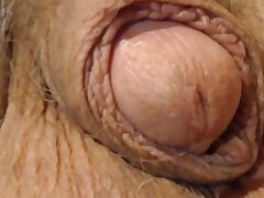 Alte Schwanz closeup